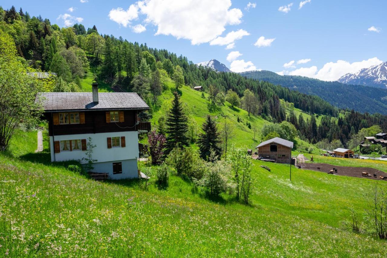 Chalet Orion Bellwald Bagian luar foto
