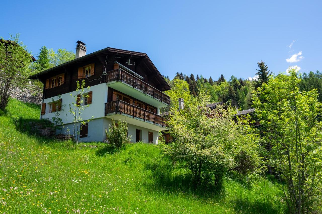 Chalet Orion Bellwald Bagian luar foto